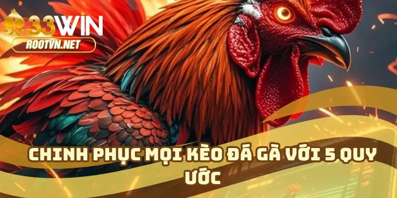 Trải Nghiệm Thực Tế Khi Xem Đá Gà Tại 33WIN